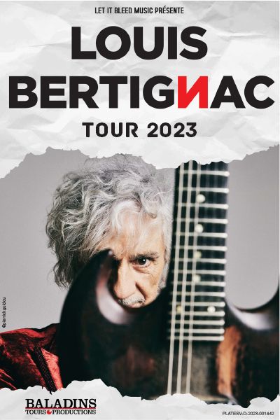 Affiche Louis Bertignac en concert